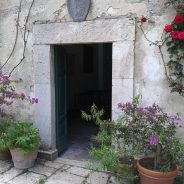 Le piante in vaso, a Borgo Spante, hanno una vita lunghissima…