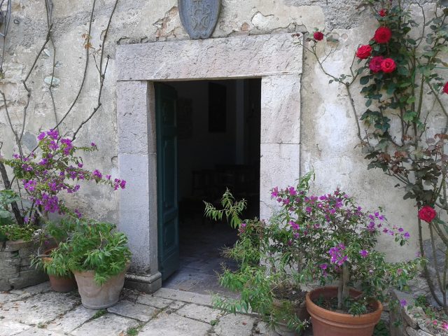 Le piante in vaso, a Borgo Spante, hanno una vita lunghissima…
