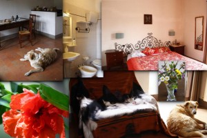 Blu Apartment for 3 places