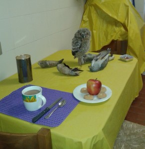 Colazioni differenti